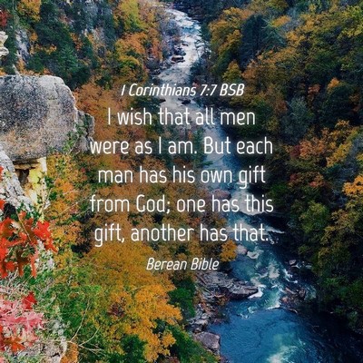 Picture 04 - 1 Corinthians 7:7 BSB - I wish that all men were as I am. But each man - Bible Verse Picture