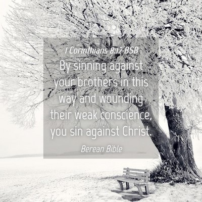 Picture 04 - 1 Corinthians 8:12 BSB - By sinning against your brothers in this way and - Bible Verse Picture