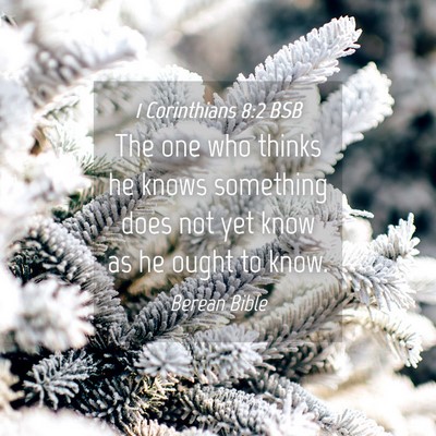 Picture 04 - 1 Corinthians 8:2 BSB - The one who thinks he knows something does not - Bible Verse Picture