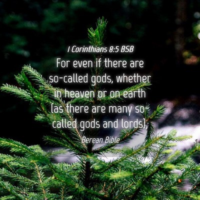 Picture 04 - 1 Corinthians 8:5 BSB - For even if there are so-called gods, whether in - Bible Verse Picture