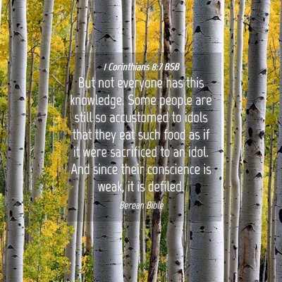 Picture 04 - 1 Corinthians 8:7 BSB - But not everyone has this knowledge. Some people - Bible Verse Picture