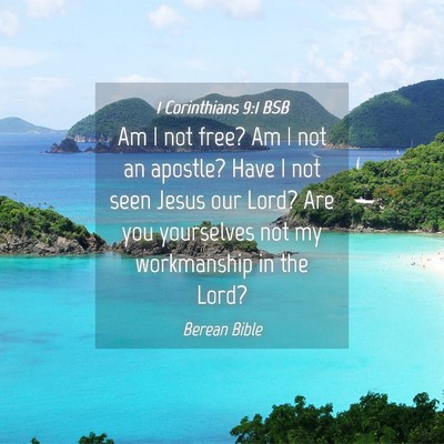 Picture 04 - 1 Corinthians 9:1 BSB - Am I not free? Am I not an apostle? Have I not - Bible Verse Picture