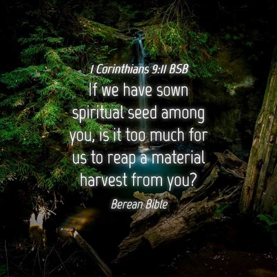Picture 04 - 1 Corinthians 9:11 BSB - If we have sown spiritual seed among you, is it - Bible Verse Picture