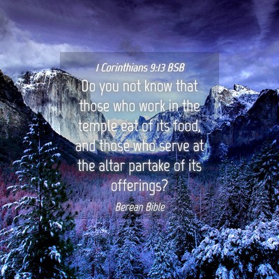 Picture 04 - 1 Corinthians 9:13 BSB - Do you not know that those who work in the temple - Bible Verse Picture