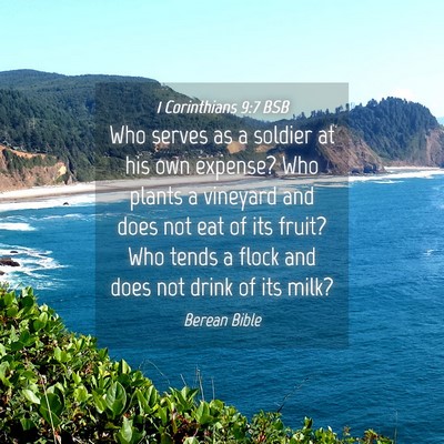 Picture 04 - 1 Corinthians 9:7 BSB - Who serves as a soldier at his own expense? Who - Bible Verse Picture