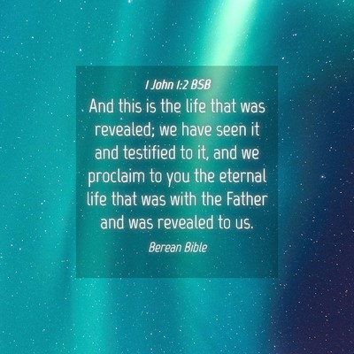 Picture 04 - 1 John 1:2 BSB - And this is the life that was revealed; we have - Bible Verse Picture