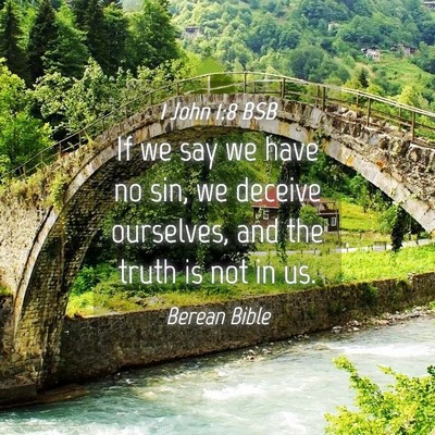 Picture 04 - 1 John 1:8 BSB - If we say we have no sin, we deceive ourselves, - Bible Verse Picture
