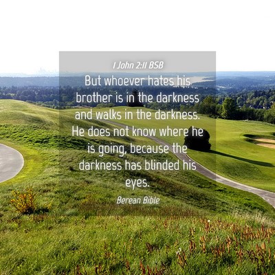 Picture 04 - 1 John 2:11 BSB - But whoever hates his brother is in the darkness - Bible Verse Picture