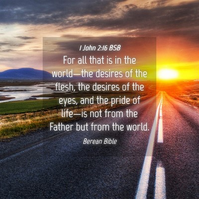 Picture 04 - 1 John 2:16 BSB - For all that is in the world—the desires of the - Bible Verse Picture