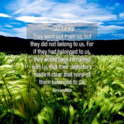 Picture 04 - 1 John 2:19 BSB - They went out from us, but they did not belong to - Bible Verse Picture