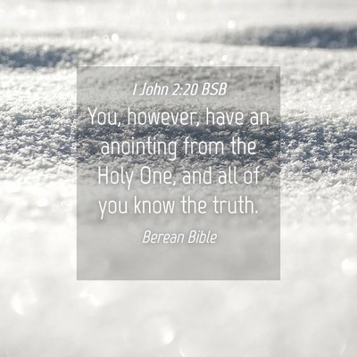 Picture 04 - 1 John 2:20 BSB - You, however, have an anointing from the Holy - Bible Verse Picture