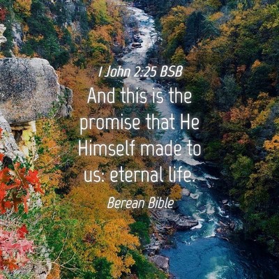 Picture 04 - 1 John 2:25 BSB - And this is the promise that He Himself made to - Bible Verse Picture