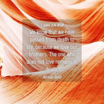 Picture 04 - 1 John 3:14 BSB - We know that we have passed from death to life, - Bible Verse Picture