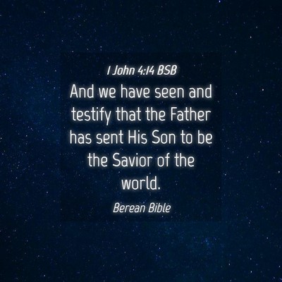 Picture 04 - 1 John 4:14 BSB - And we have seen and testify that the Father has - Bible Verse Picture