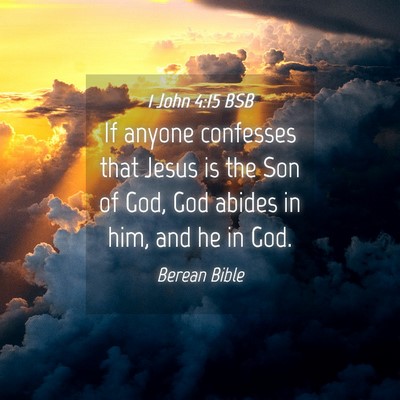 Picture 04 - 1 John 4:15 BSB - If anyone confesses that Jesus is the Son of God, - Bible Verse Picture