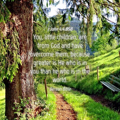 Picture 04 - 1 John 4:4 BSB - You, little children, are from God and have - Bible Verse Picture