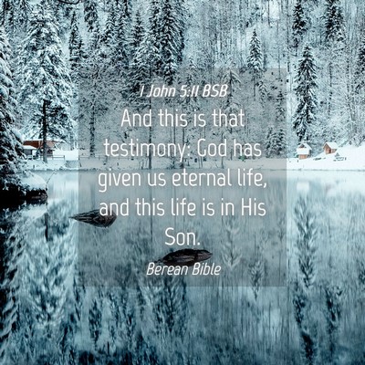 Picture 04 - 1 John 5:11 BSB - And this is that testimony: God has given us - Bible Verse Picture