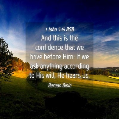 Picture 04 - 1 John 5:14 BSB - And this is the confidence that we have before - Bible Verse Picture