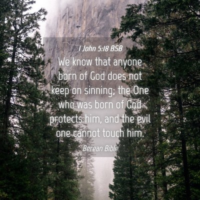 Picture 04 - 1 John 5:18 BSB - We know that anyone born of God does not keep on - Bible Verse Picture