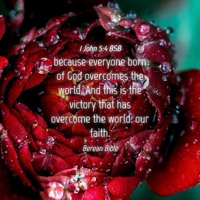 Picture 04 - 1 John 5:4 BSB - because everyone born of God overcomes the world. - Bible Verse Picture
