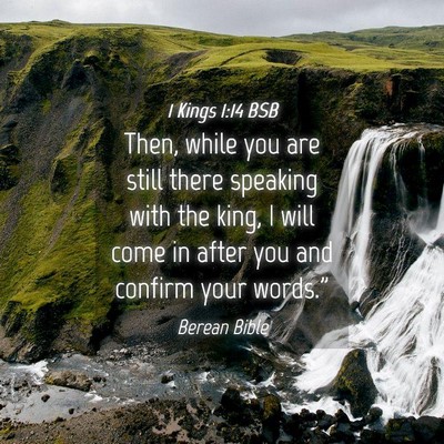 Picture 04 - 1 Kings 1:14 BSB - Then, while you are still there speaking with the - Bible Verse Picture