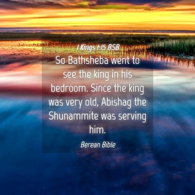 Picture 04 - 1 Kings 1:15 BSB - So Bathsheba went to see the king in his bedroom. - Bible Verse Picture