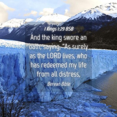 Picture 04 - 1 Kings 1:29 BSB - And the king swore an oath, saying, “As surely - Bible Verse Picture