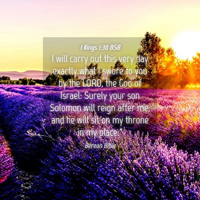Picture 04 - 1 Kings 1:30 BSB - I will carry out this very day exactly what I - Bible Verse Picture