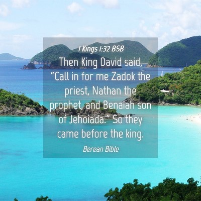 Picture 04 - 1 Kings 1:32 BSB - Then King David said, “Call in for me Zadok the - Bible Verse Picture