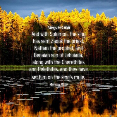 Picture 04 - 1 Kings 1:44 BSB - And with Solomon, the king has sent Zadok the - Bible Verse Picture