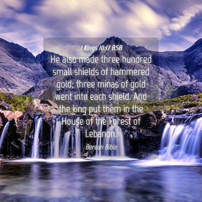 Picture 04 - 1 Kings 10:17 BSB - He also made three hundred small shields of - Bible Verse Picture