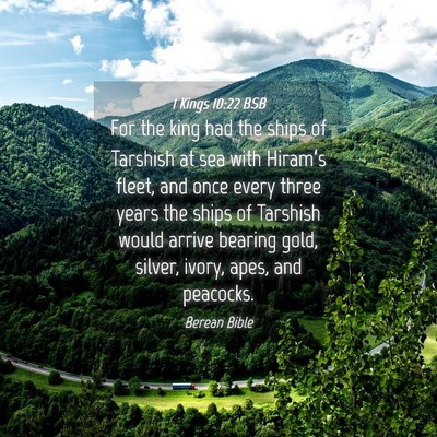 Picture 04 - 1 Kings 10:22 BSB - For the king had the ships of Tarshish at sea - Bible Verse Picture
