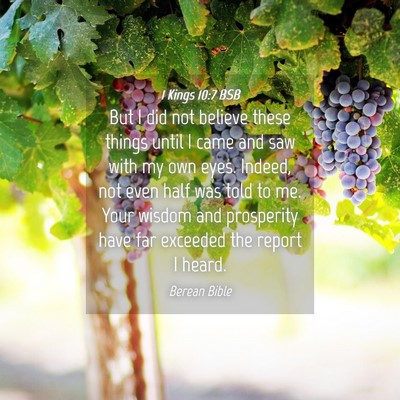Picture 04 - 1 Kings 10:7 BSB - But I did not believe these things until I came - Bible Verse Picture