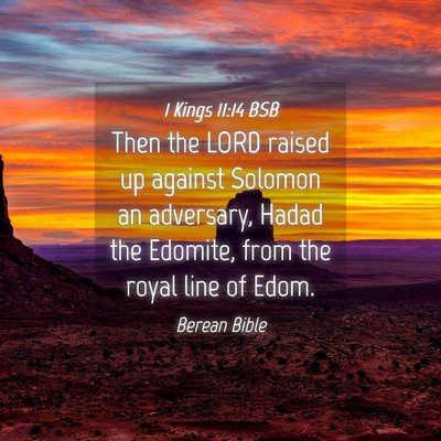 Picture 04 - 1 Kings 11:14 BSB - Then the LORD raised up against Solomon an - Bible Verse Picture