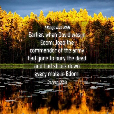 Picture 04 - 1 Kings 11:15 BSB - Earlier, when David was in Edom, Joab the - Bible Verse Picture