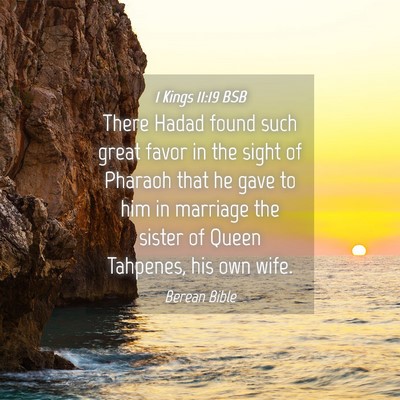 Picture 04 - 1 Kings 11:19 BSB - There Hadad found such great favor in the sight - Bible Verse Picture