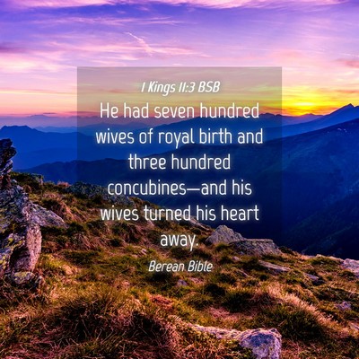 Picture 04 - 1 Kings 11:3 BSB - He had seven hundred wives of royal birth and - Bible Verse Picture