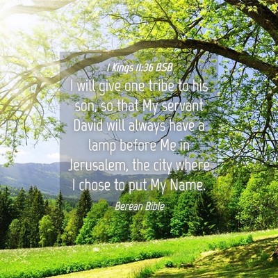 Picture 04 - 1 Kings 11:36 BSB - I will give one tribe to his son, so that My - Bible Verse Picture