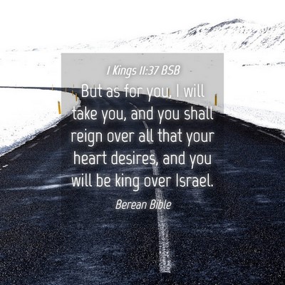 Picture 04 - 1 Kings 11:37 BSB - But as for you, I will take you, and you shall - Bible Verse Picture