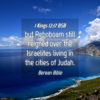 Picture 04 - 1 Kings 12:17 BSB - but Rehoboam still reigned over the Israelites - Bible Verse Picture