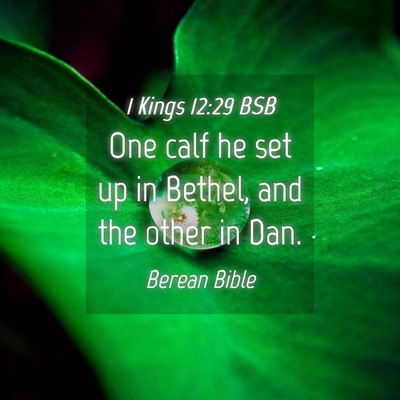 Picture 04 - 1 Kings 12:29 BSB - One calf he set up in Bethel, and the other in - Bible Verse Picture