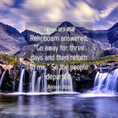 Picture 04 - 1 Kings 12:5 BSB - Rehoboam answered, “Go away for three days and - Bible Verse Picture