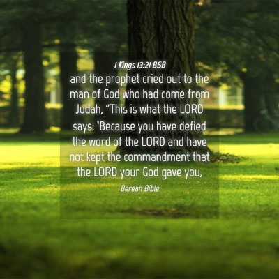 Picture 04 - 1 Kings 13:21 BSB - and the prophet cried out to the man of God who - Bible Verse Picture