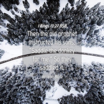 Picture 04 - 1 Kings 13:27 BSB - Then the old prophet instructed his sons, - Bible Verse Picture