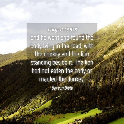 Picture 04 - 1 Kings 13:28 BSB - and he went and found the body lying in the road, - Bible Verse Picture