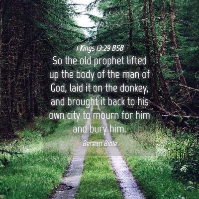 Picture 04 - 1 Kings 13:29 BSB - So the old prophet lifted up the body of the man - Bible Verse Picture