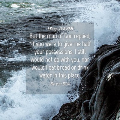 Picture 04 - 1 Kings 13:8 BSB - But the man of God replied, “If you were to - Bible Verse Picture