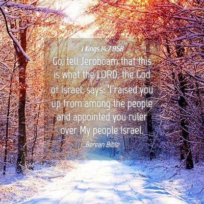 Picture 04 - 1 Kings 14:7 BSB - Go, tell Jeroboam that this is what the LORD, the - Bible Verse Picture