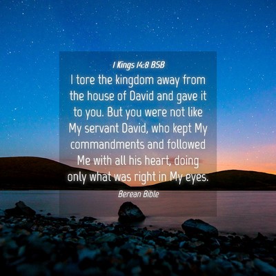 Picture 04 - 1 Kings 14:8 BSB - I tore the kingdom away from the house of David - Bible Verse Picture
