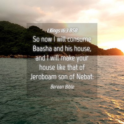 Picture 04 - 1 Kings 16:3 BSB - So now I will consume Baasha and his house, and I - Bible Verse Picture